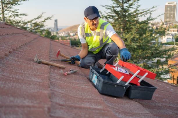 Best Shed Removal  in Millers Falls, MA
